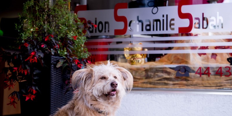 Salon Schamile Sabah Nürnberg